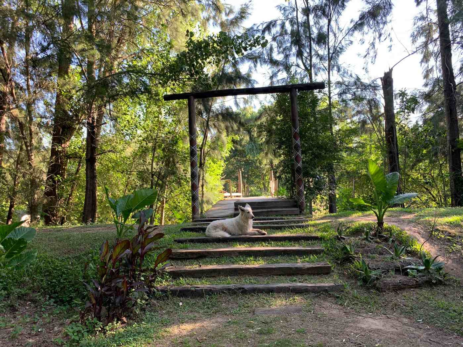 Venta Complejo de cabañas Delta Tigre