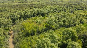 TIGRE Delta 8 hectares