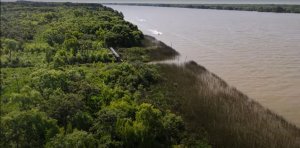 TIGRE Delta 8 hectares