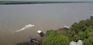 TIGRE Delta 8 hectares