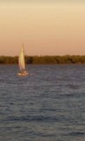 TIGRE Delta 8 hectares