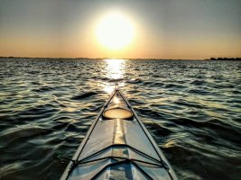 TIGRE Delta 8 hectares