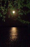 TIGRE Delta 8 hectares