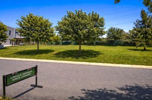 Lote en venta en TIPAS, Nordelta -