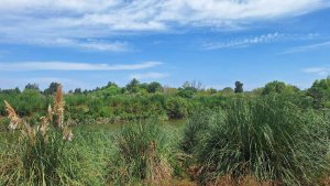 Venta LOTE AL RIO AMARRA PROPIA B°Náutico EL CANAL