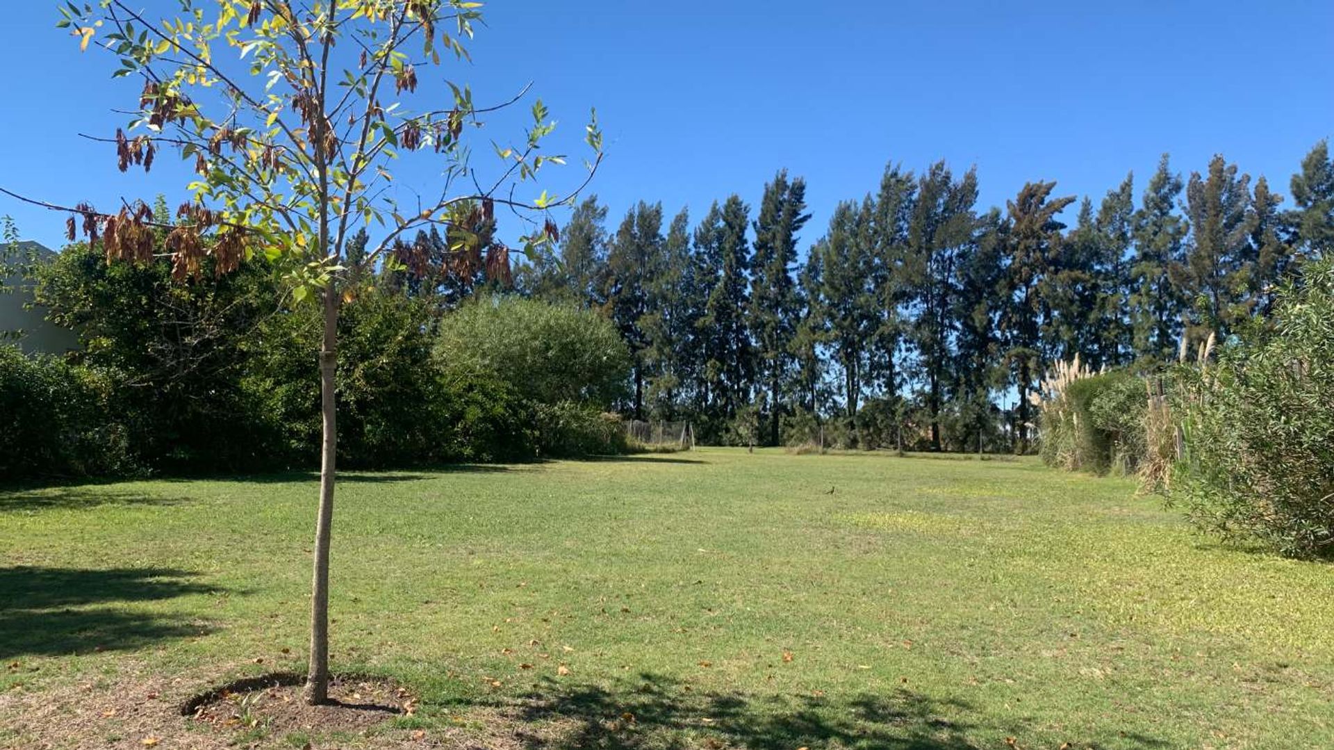 Sale Lot in Barrio Santa Teresa Tigre Villanueva