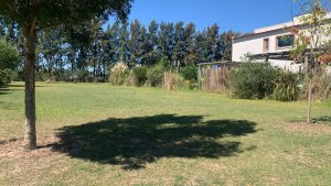 Sale Lot in Barrio Santa Teresa Tigre Villanueva