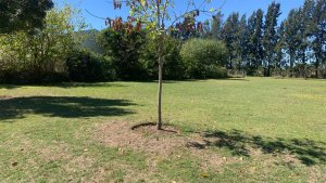 Sale Lot in Barrio Santa Teresa Tigre Villanueva