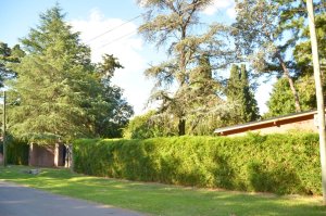 Country Estate in Tigre, 2100 m2 lot