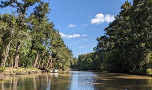 Plots: Isla, Arroyo El Banco, Tigre