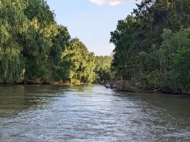 Plots: Isla, Arroyo El Banco, Tigre