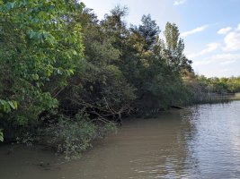 Plots: Isla, Arroyo El Banco, Tigre
