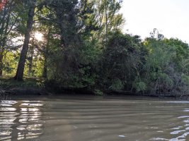 Plots: Isla, Arroyo El Banco, Tigre