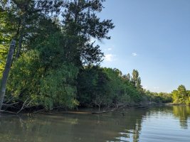 Plots: Isla, Arroyo El Banco, Tigre
