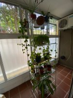 Alquiler Temporario 3 Ambientes San Isidro