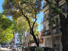 Venta Depto Olivos 3 Amb Quinta Ubicacion Ideal