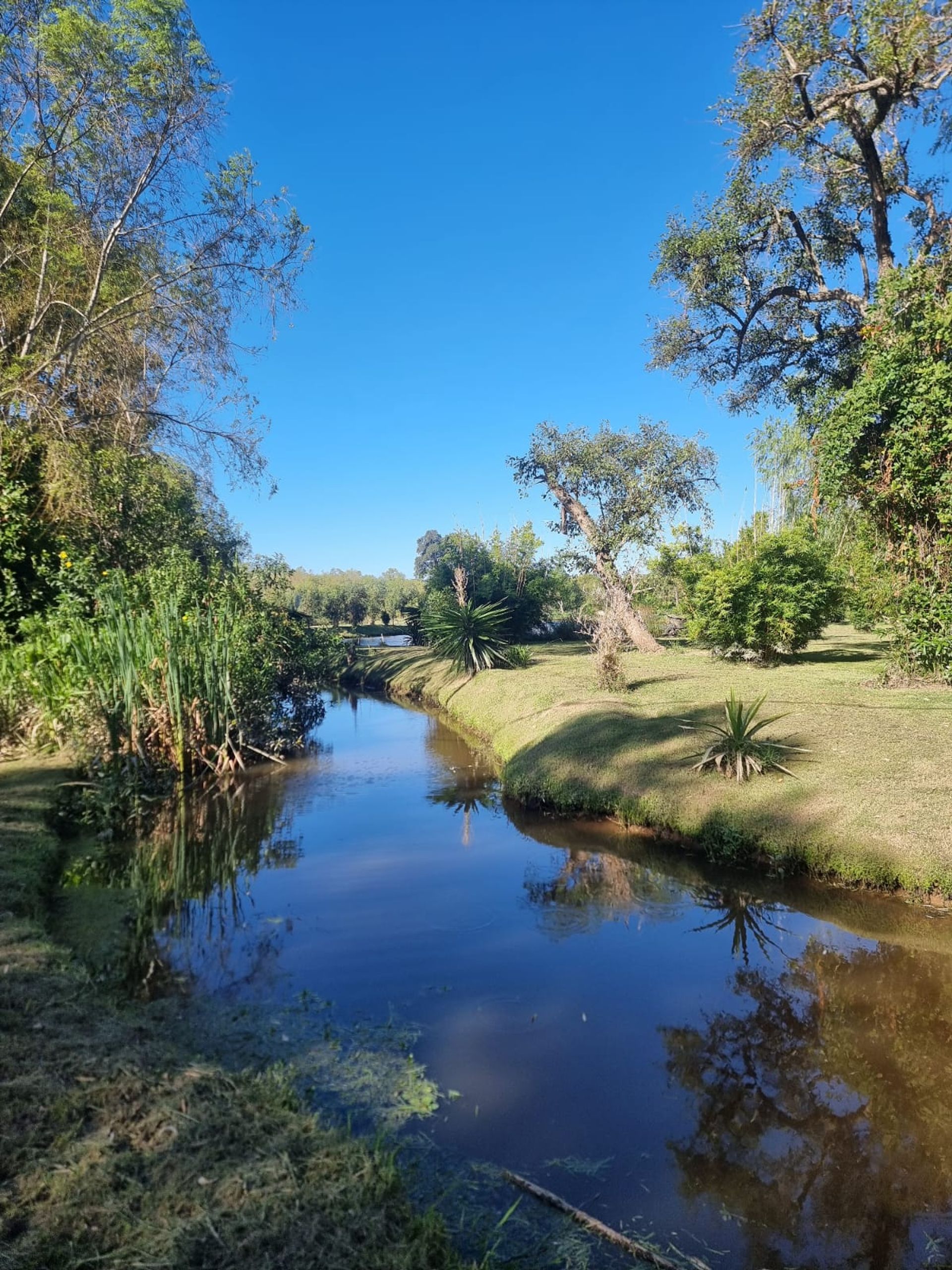 Lote 7500Mts En Venta Tigre Arroyo Sabalo Oportuni