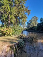 House for Sale in Arroyo Sabalo Lot of 7500m²