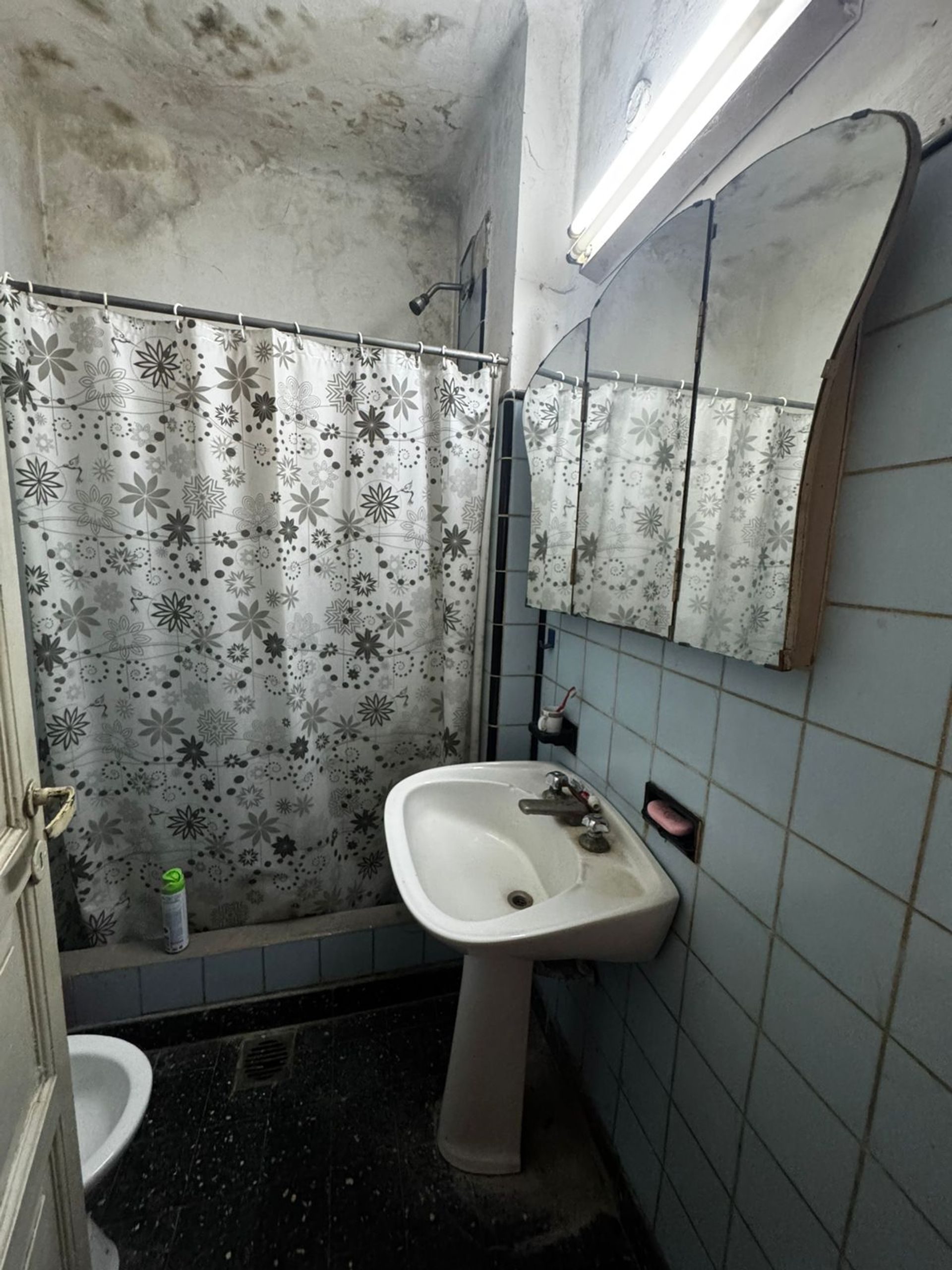 Galpón 12m frente 35m fondo con vivienda Boulogne