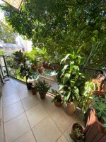 Sale-Apartment, 2‑bedroom, garage, Amenities Olivos
