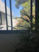 VENDE - PH Único en San Isidro - Sin Expensas