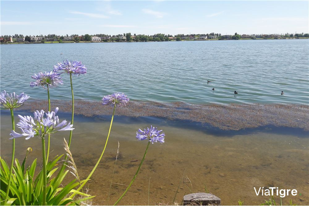 Venta Depto. Con Jardin Al Agua 3 AMB. VILA VELA