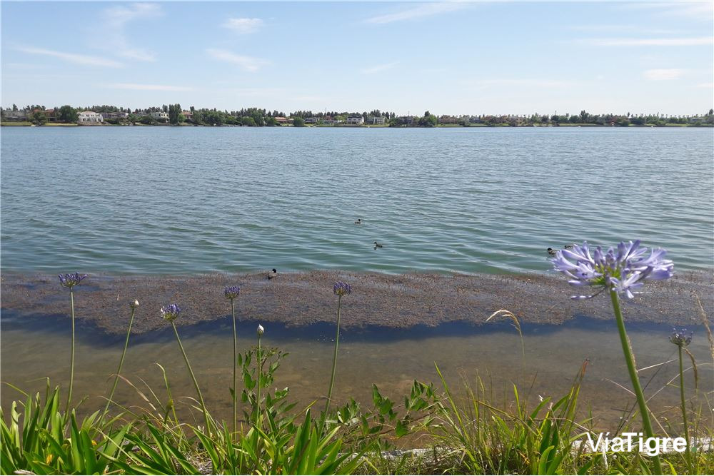 Venta Depto. Con Jardin Al Agua 3 AMB. VILA VELA