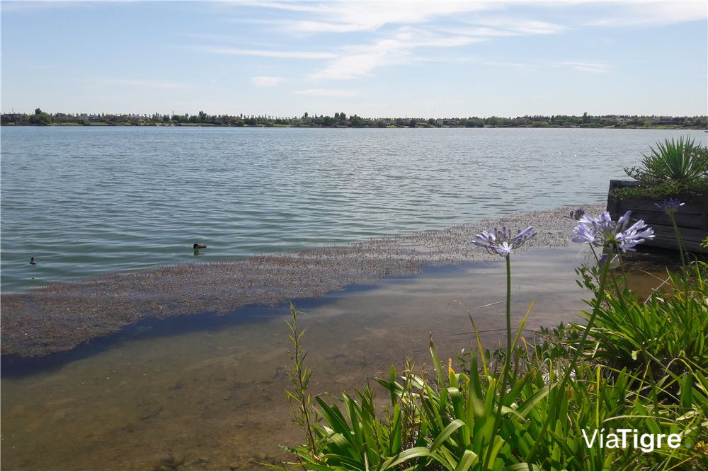 Venta Depto. Con Jardin Al Agua 3 AMB. VILA VELA