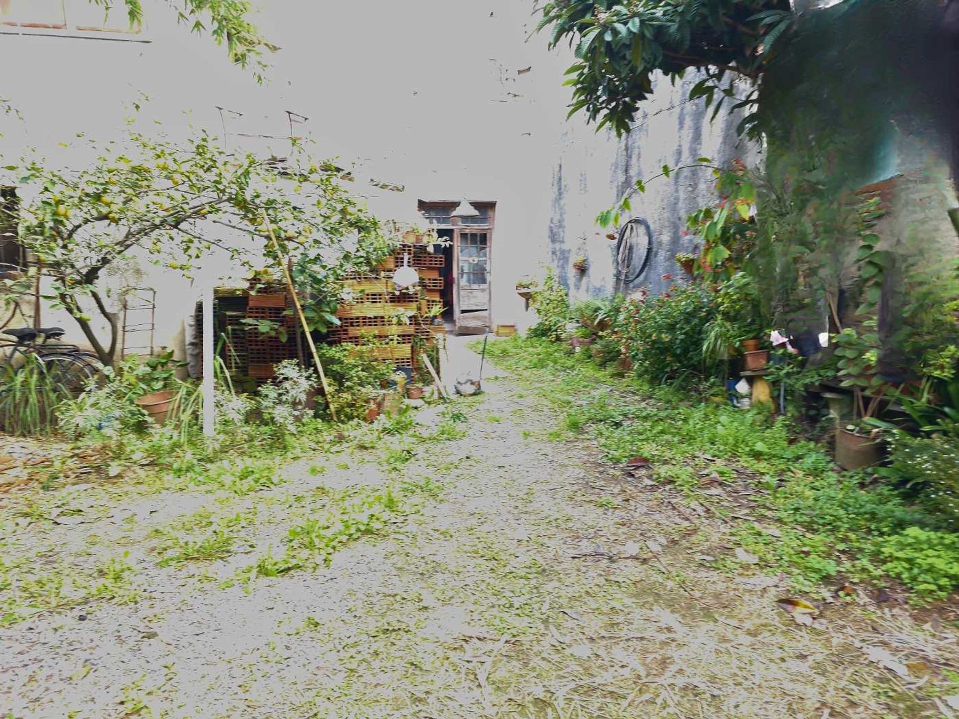 Venta Terreno En Tigre Centro - Nuevo Valor