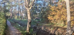 Venta de Lote con cabaÃ±a en el Delta (3339m2)