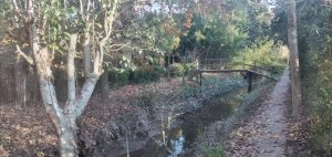 Venta de Lote con cabaÃ±a en el Delta (3339m2)