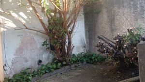 Oportunidad Ãšnica En Vicente LÃ³pez! Lote De 300M2