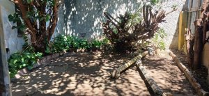 Oportunidad Ãšnica En Vicente LÃ³pez! Lote De 300M2