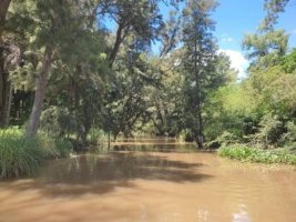 SALE 26.9 hectares in First Section Delta. Suitable for investors