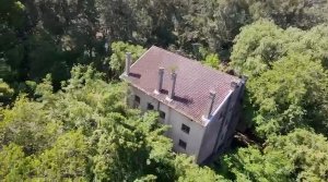 SALE 26.9 hectares in First Section Delta. Suitable for investors