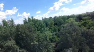 SALE 26.9 hectares in First Section Delta. Suitable for investors