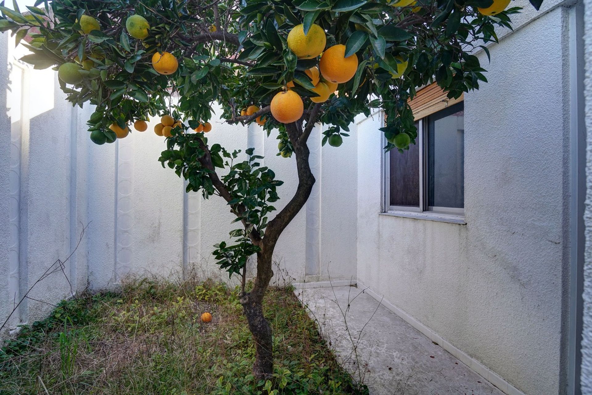 Venta Casa 5 Ambientes Munro Centro