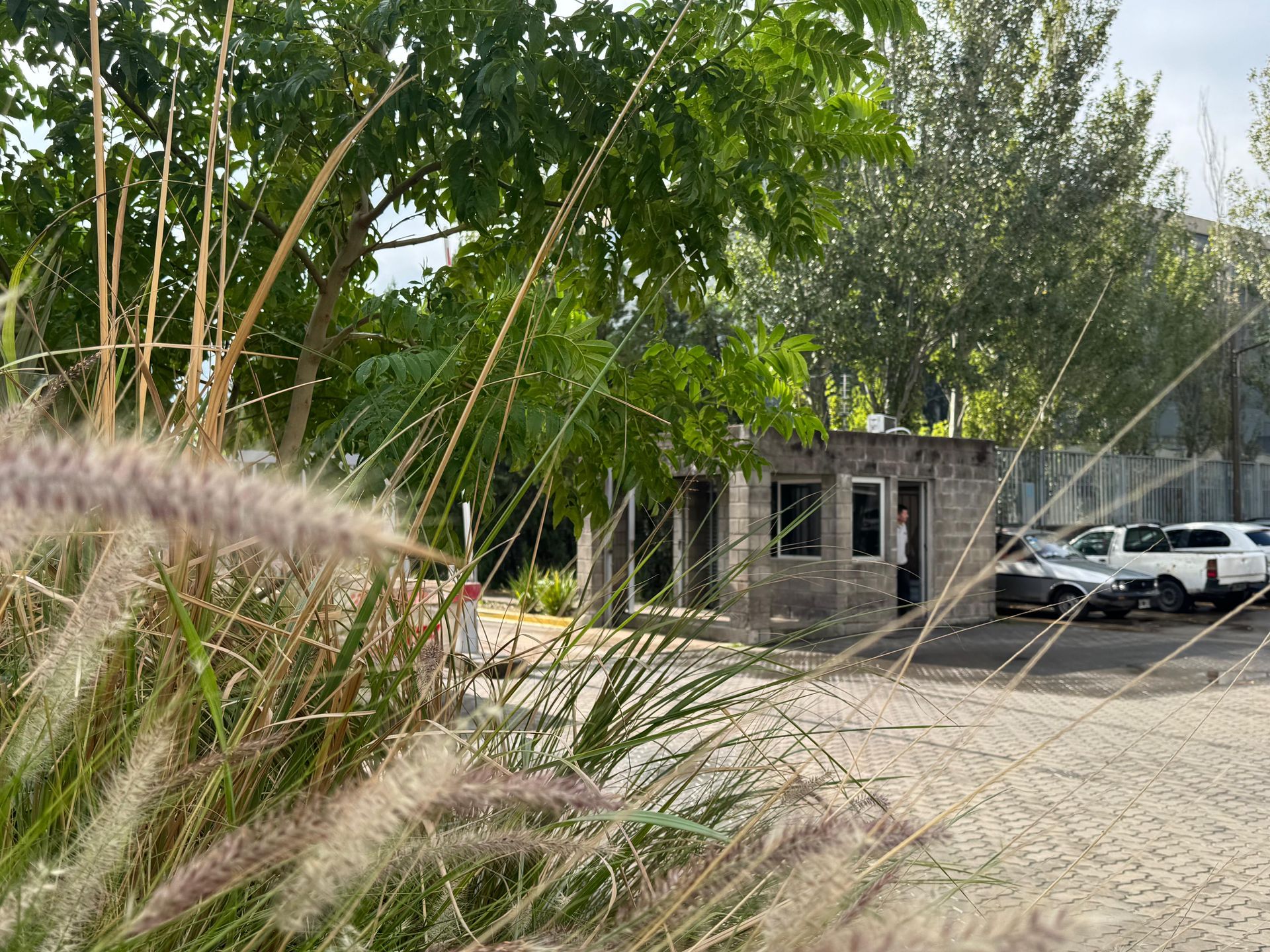 Alquiler Oficina San Isidro Centro Uruguay Norte