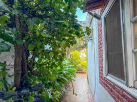 Penthouse of 3 rooms with garden, grill and quincho