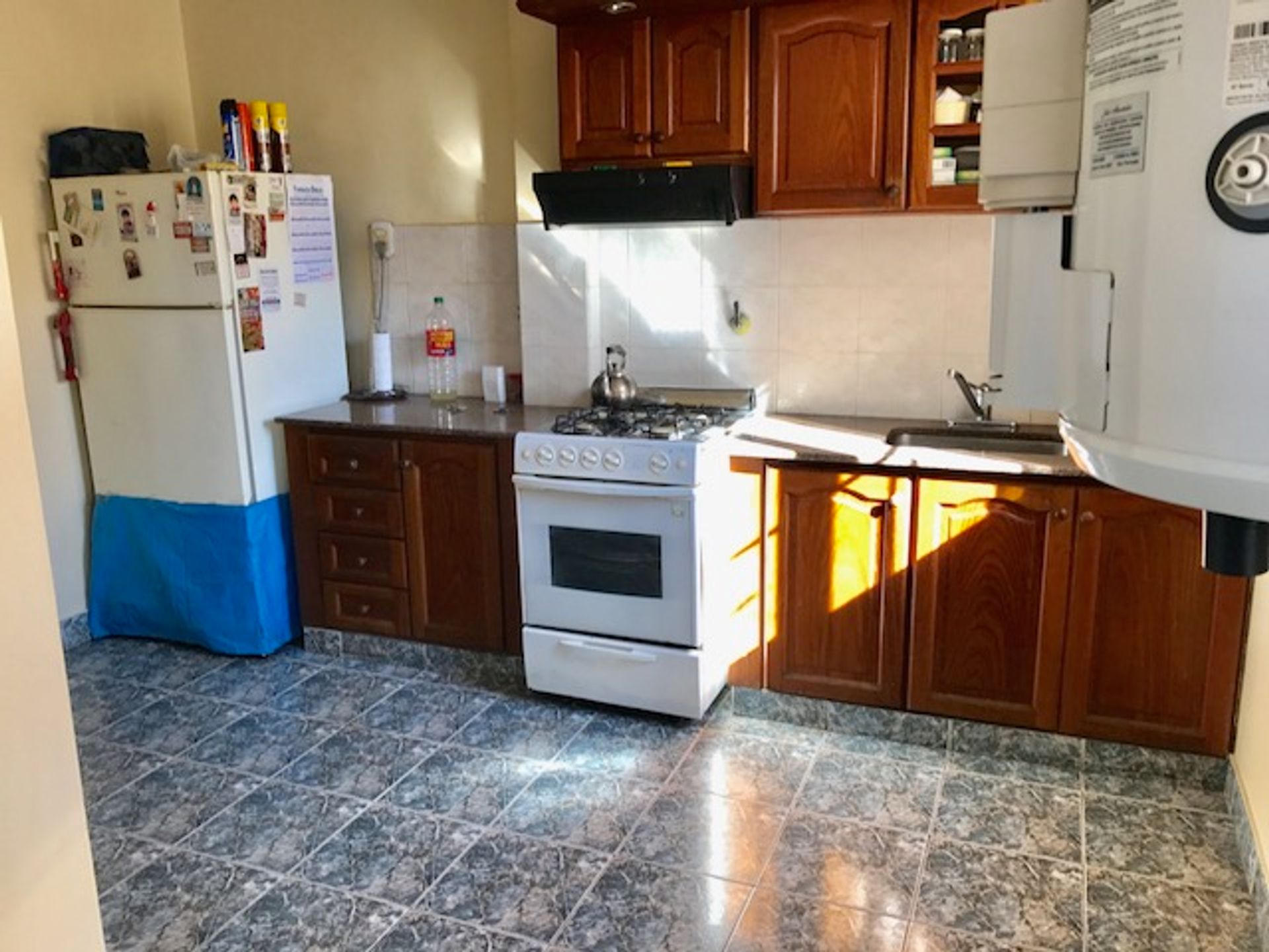 Venta 2 casas, local ,Boulogne, San Isidro