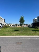 Venta Lote Carpinchos Nordelta Al Agua Oportunidad