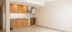Penthouse For Rent 1-Bedroom Don Torcuato