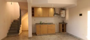Penthouse For Rent 1-Bedroom Don Torcuato