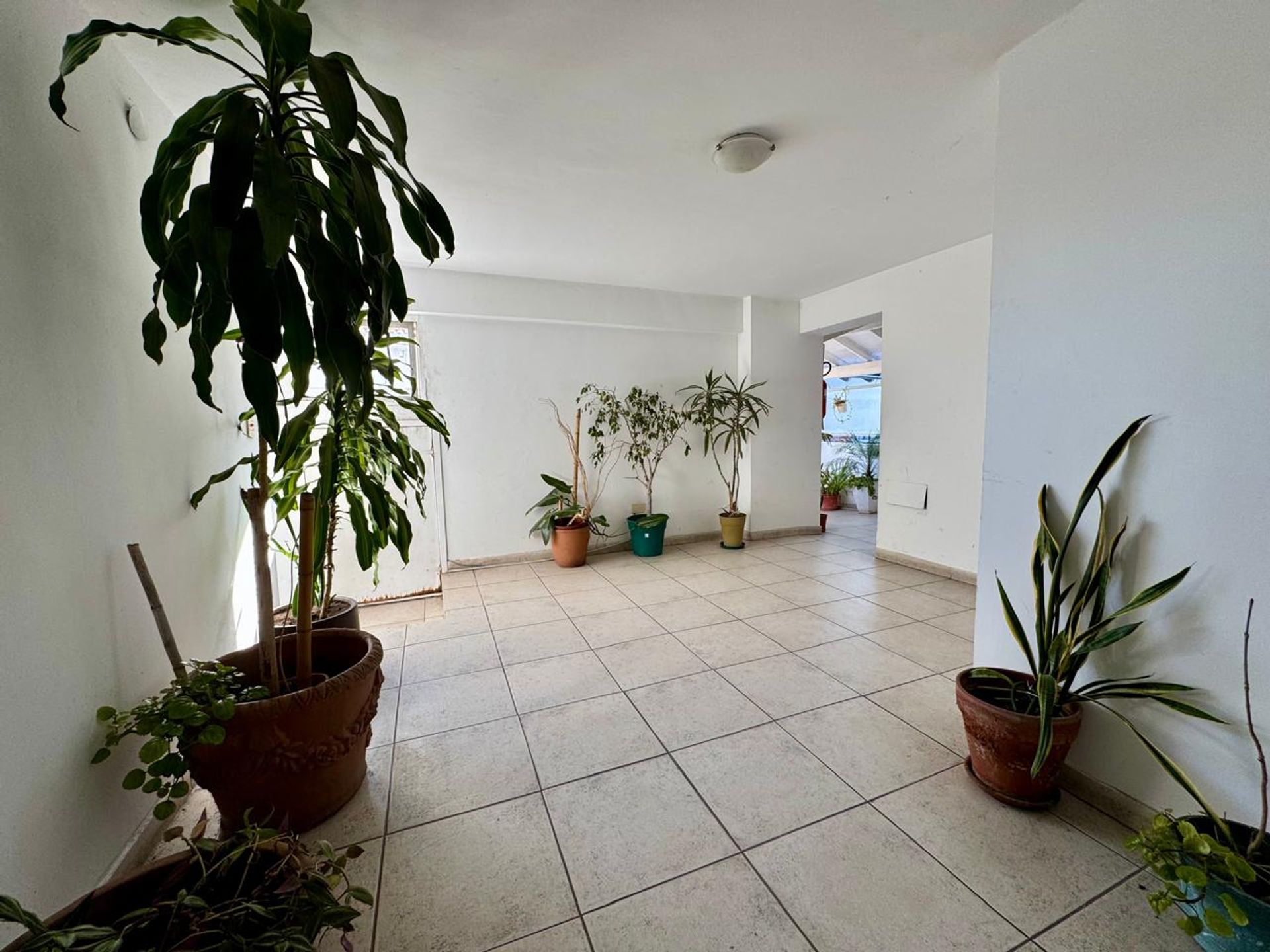 Venta Monoambiente Con Patio En Martinez