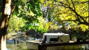 FOR SALE LOT 735 m² TIGRE 882 m² sellable