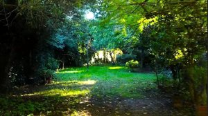 FOR SALE LOT 735 m² TIGRE 882 m² sellable