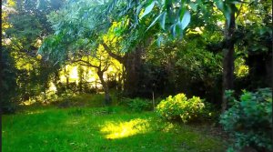 FOR SALE LOT 735 m² TIGRE 882 m² sellable