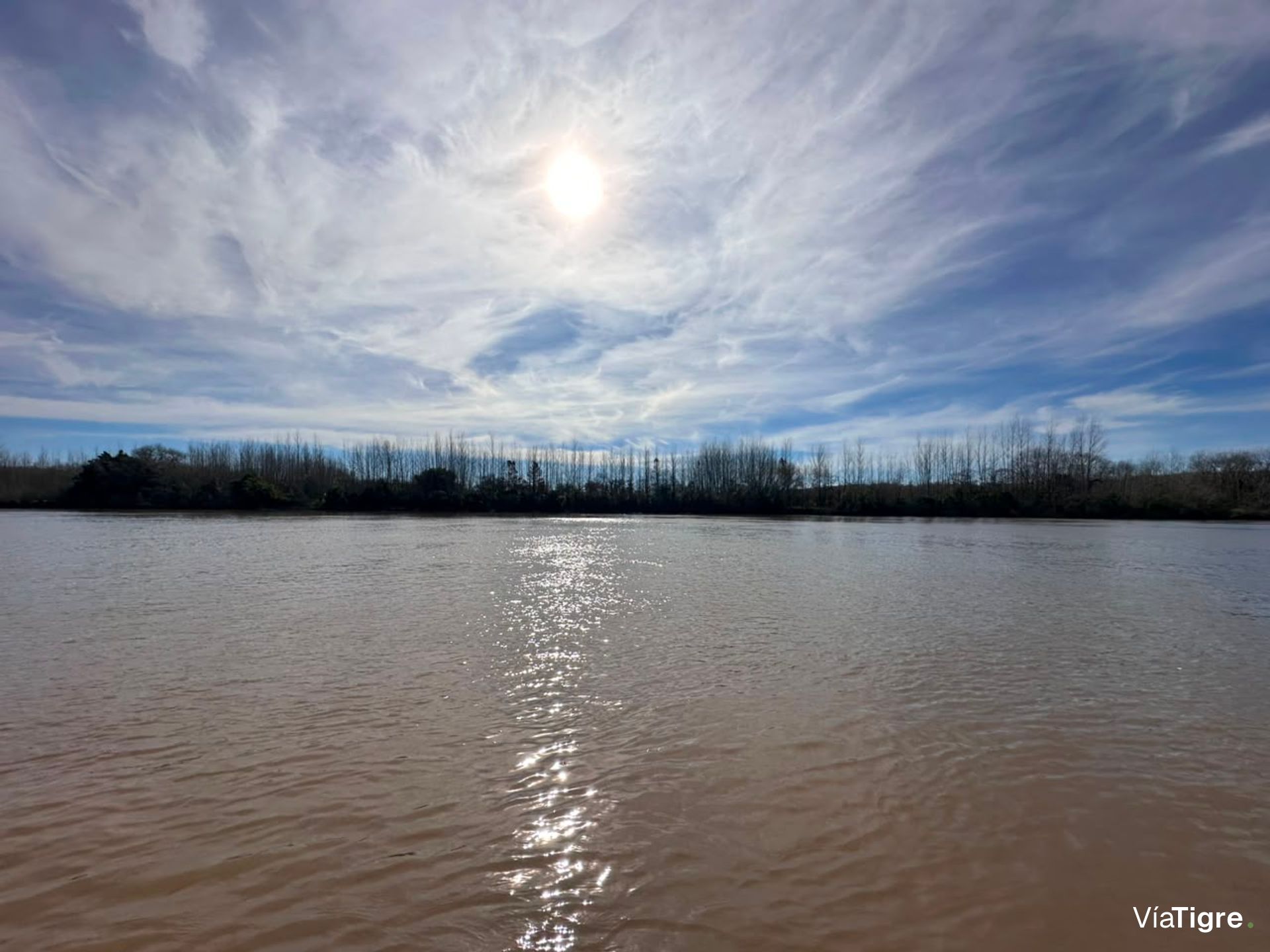Venta Campo De Aprox.24 Hectáreas Islas Del Parana
