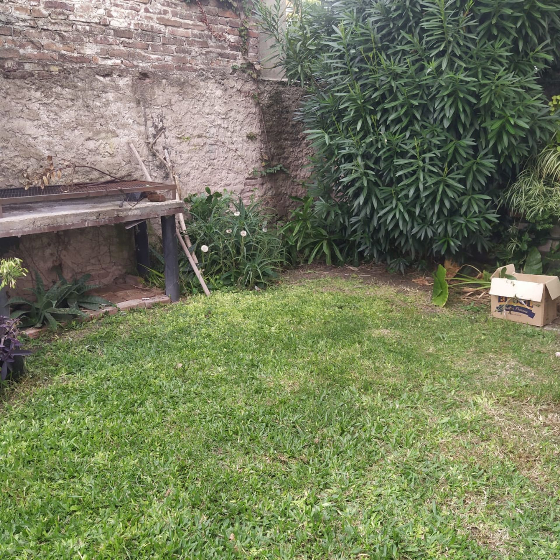 For Rent Penthouse 1-bedroom Ground Floor Olivos
