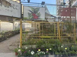 Sale Lot for Development Beccar Center